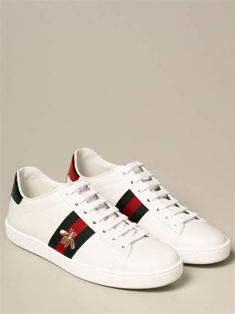 scarpe gucci con ape uomo